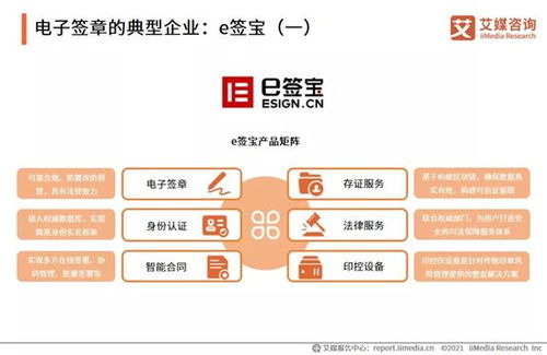 2021年中國企業(yè)數(shù)字化發(fā)展研究報告 網(wǎng)絡技術服務的前景與挑戰(zhàn)