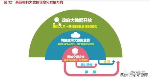 新興安全及服務 網(wǎng)絡技術服務的增長風口